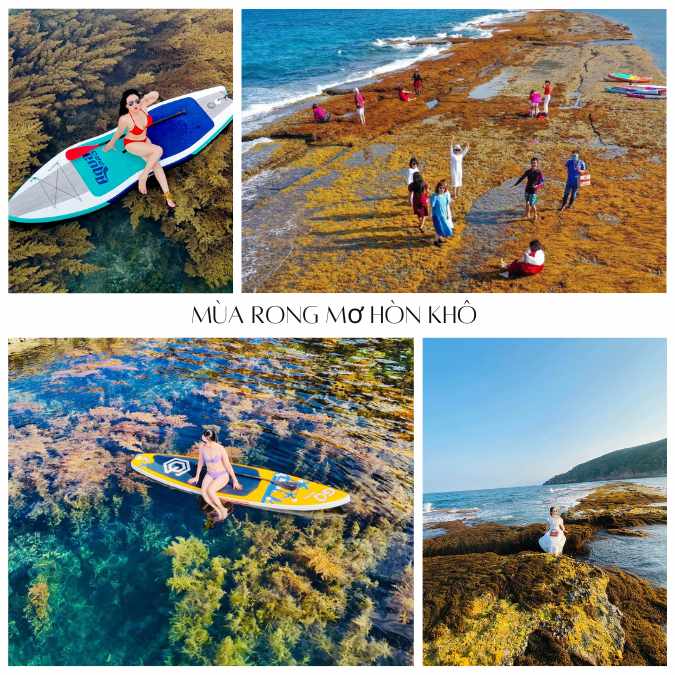 mua-rong-mo-hon-kho-quy-nhon