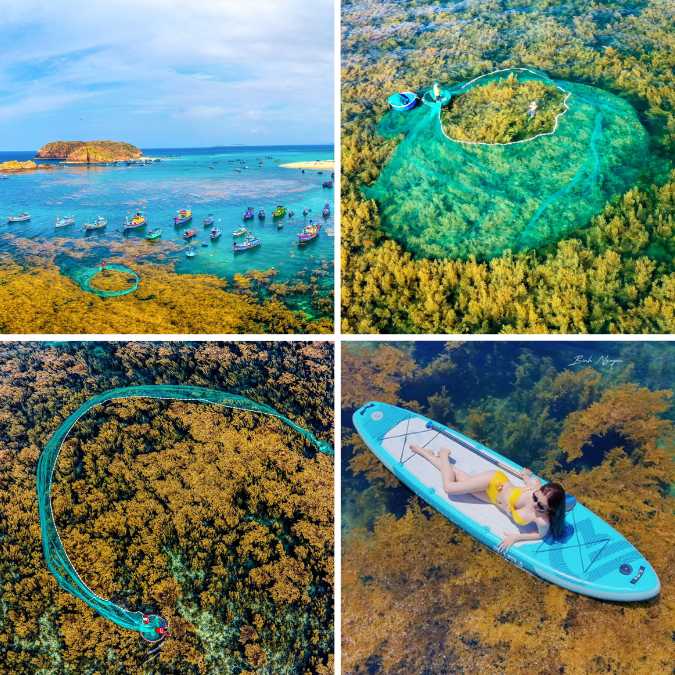 rong-mo-hon-kho-nhon-hai